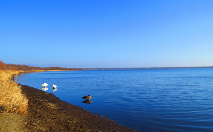 ���ȿ��̤��Ĥʤ������� �å��ȥʥ���