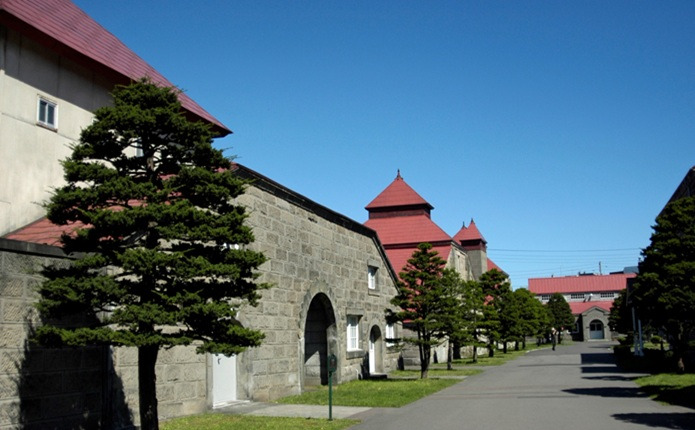 ;��Į�֥˥å����𥹥���;�Ծ�ί���