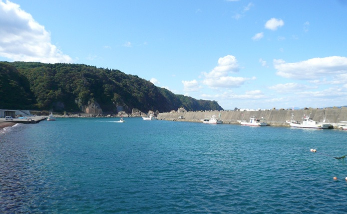 ��µ����