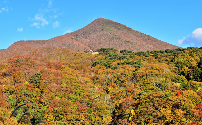 ���ᤴ�Ȥ�ɽ���Ѥ��ͺ��ʼ�����������