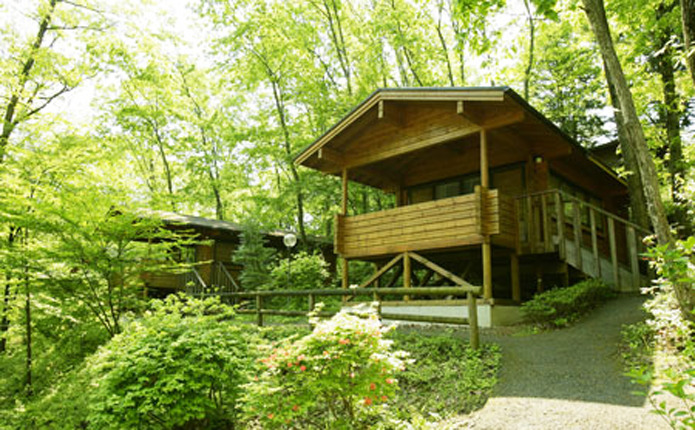 ��������ǥ�ե�å���Ǥ�����åߥ塼���ѡ���