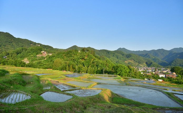 �͵������ʤ���������ʥ��ݥåȡû���ê��