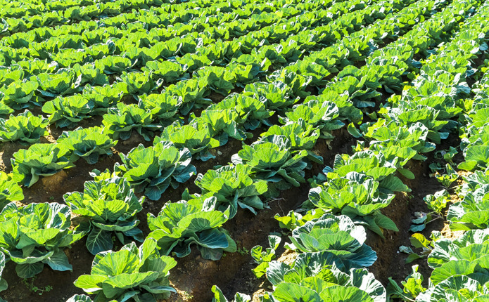 ���Ȥʵ�����褫��������٥Ĥλ��ϡ�ĸ��