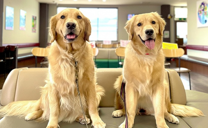 ���ĸ��֥����ϥʡ�