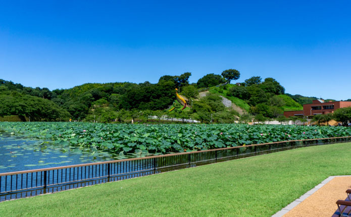 �����˰Ϥޤ줿ϡ�ڻ��Ӹ���