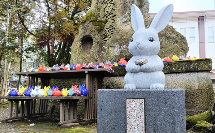 �İ��餷�����������¤��ƶ�����