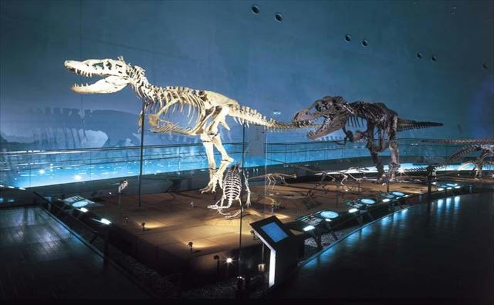 教習の合間に！福井県立恐竜博物館