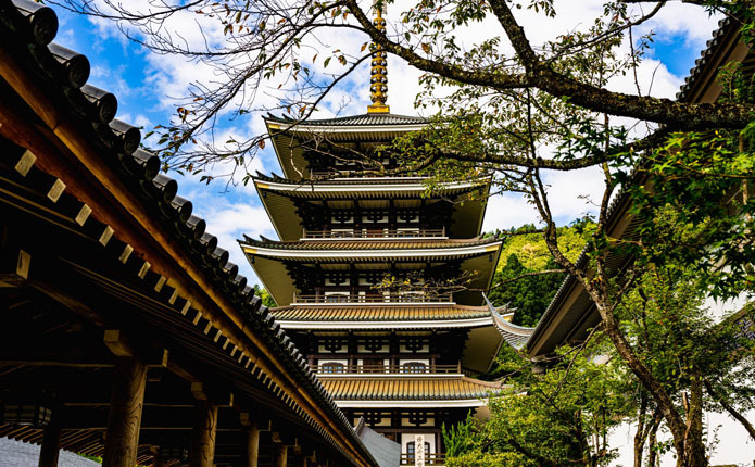 ������޽���ǡ��Ť��ʻ��֤�ᤴ����